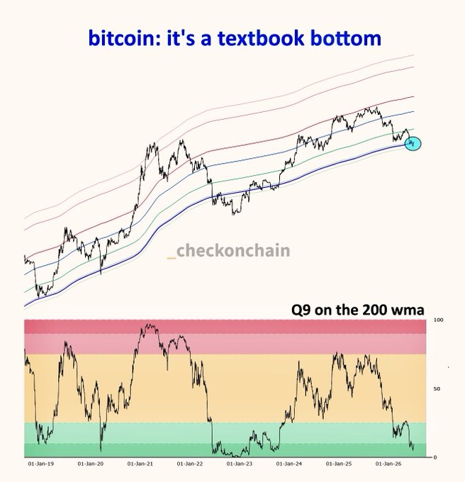 This chart shows Bitcoin's price action from 2019 to early 2026, with the text "bitcoin: it's a textbook bottom" and a Q9 indicator on the 200 wma, implying a potential price reversal.