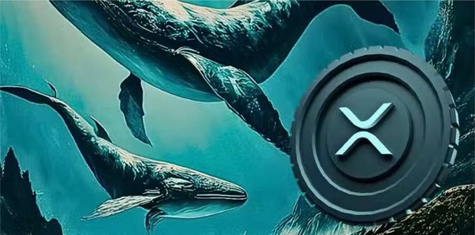 An underwater scene featuring whales swimming through a blue ocean with rocky formations, with a large dark circular XRP cryptocurrency token overlaid on the right side of the image.