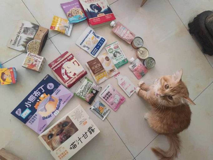 An orange cat lies on a tiled floor surrounded by an assortment of cat food packages, treats, and pouches, with text including 'Natural Revival', 'Fujifruits', 'PONGYOO', 'Bear Pudding', and '喵汁甘露' visible.
