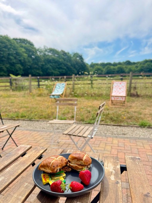 An outdoor farm scene with a plate of strawberry-themed cross-shaped pastries and fresh strawberries on a wooden table, with deck chairs and horses in a fenced pasture beyond.