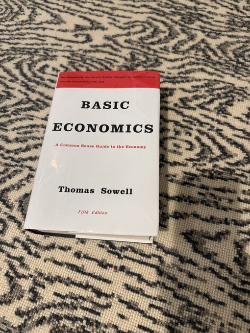 A paperback copy of the book 'Basic Economics: A Common Sense Guide to the Economy' by Thomas Sowell, Fifth Edition, resting on a patterned black and white rug.