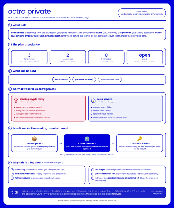An informational infographic titled "octra private" explaining a test app for sending tokens and gas coins without revealing amounts, senders, or recipients.