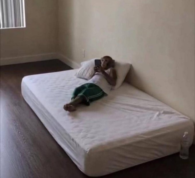 A monkey wearing green shorts lies on a white mattress in an empty room, holding a smartphone while a water bottle rests on the floor beside the bed.