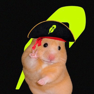 A close-up photo shows a golden hamster wearing a small black pirate hat with a skull and crossbones emblem, posing with one paw raised against a black background with a large green shape behind it.