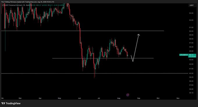 A TradingView daily candlestick chart of LTC/USD shows the price testing a horizontal support zone near $44.12, with a hand-drawn white arrow indicating an anticipated bounce upward after the recent downtrend from May highs near $54.