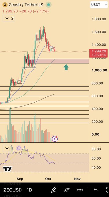 A trading chart displays Zcash (ZECUSDT) against TetherUS at $1,299.20, down 2.17% ($28.78), showing price action with a highlighted support zone near $1,050 and an arrow suggesting potential upside, alongside an RSI indicator at the bottom—illustrating the "ZEC Magic" momentum discussed in the post.