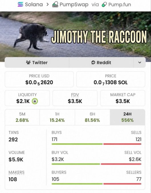 The image shows a PumpSwap trading page for the memecoin "$JIMOTHY THE RACCOON" on Solana, with a market cap of $3.5K at the time of capture—matching the exact market cap the poster cited when they originally called the token before its run to 40M+, using it as validation for their current low-cap pick.