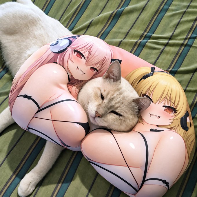 An anime-style illustration of two girls (one with pink hair, one with blonde hair) in revealing outfits posing with a real sleeping cat on a striped green bedsheet.