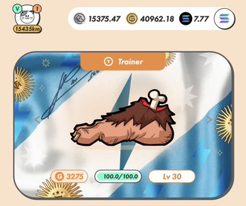 A STEPN app Trainer screen displaying a furry brown shoe NFT at Level 30 with 100.0/100.0 durability, set against an Argentine flag background.