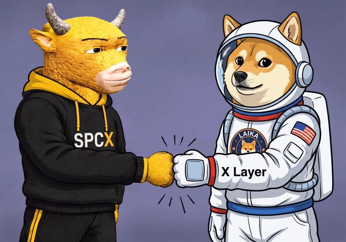 A cartoon bull wearing a "SPCX" hoodie fist-bumps a Shiba Inu astronaut adorned with a "LAIKA" patch, "X Layer" text, and an American flag, symbolizing a partnership between SPCX and the $LAIKA token on the X Layer blockchain. The accompanying post uses the image to urge investors to "work hard to build" their own projects—like LAIKA—rather than envying the success of others.