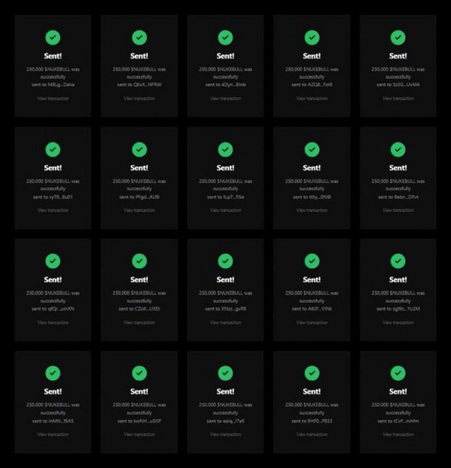 A grid of 20 confirmation cards displaying successful transfers of 250,000 $SNUKEBULL tokens to various recipient addresses. Each dark card features a green checkmark, the word "Sent!" and a "View transaction" link, indicating a recent airdrop or token distribution to multiple wallets.