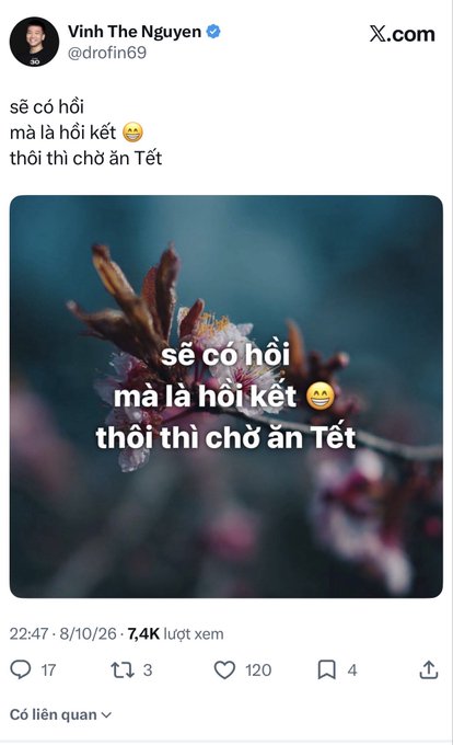 A screenshot of a post from 'Vinh The Nguyen' (@drofin69) with Vietnamese text 'sẽ có hơi mà lá hơi kết 😋 thôi thì chờ ăn Tết' overlaid on an image of cherry blossoms, showing 7.4K views.