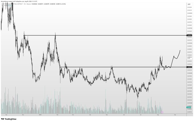 A TradingView candlestick chart of Cardano (ADA/USD) on Coinbase from August 24 to August 26 shows a sharp downtrend from a high near $0.40 followed by a prolonged sideways consolidation, with hand-drawn horizontal resistance and support levels marking a breakout pattern. The poster's annotation "now we continue higher" and upward arrow at the breakout point align with the chart's depiction of price pushing above resistance to resume the prior bearish-to-bullish reversal.