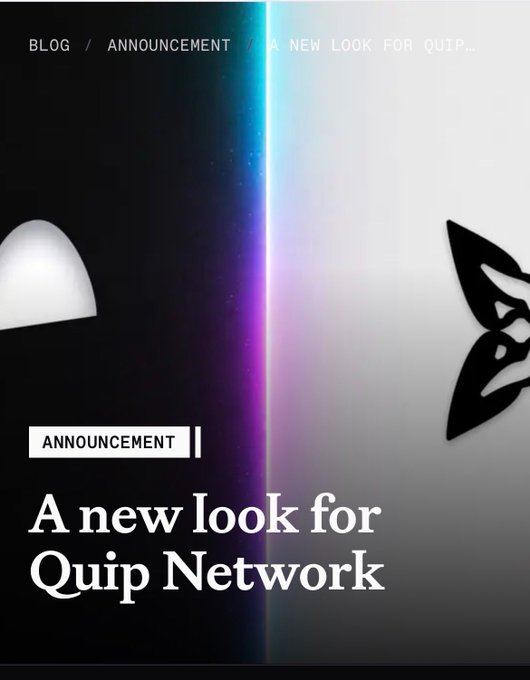 "A new look for Quip Network".