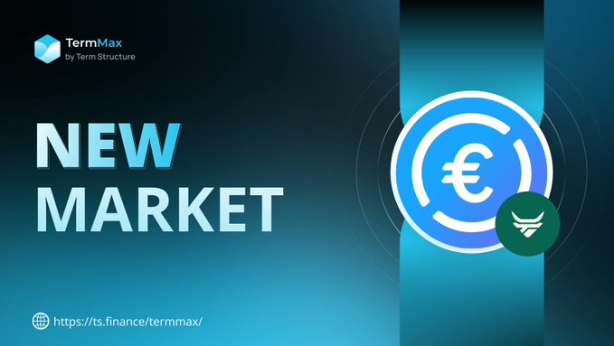 A TermMax (by Term Structure) 'NEW MARKET' announcement graphic featuring a large Euro (€) symbol with a winged logo, directing viewers to https://ts.finance/termmax/.