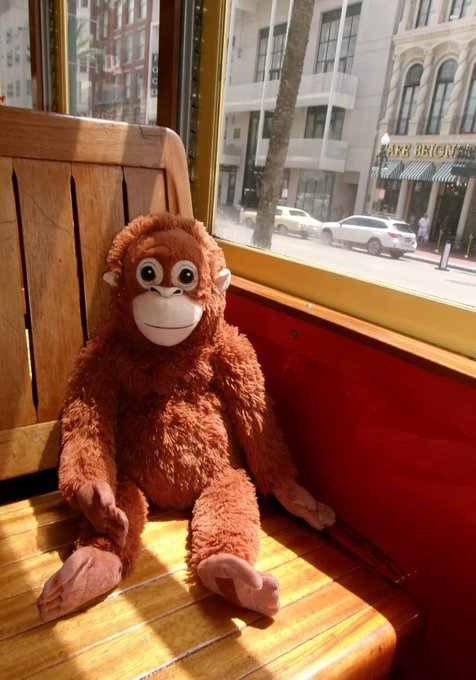 A brown stuffed orangutan toy sits on a wooden bench inside what appears to be a trolley or bus, with a city street visible through the window.