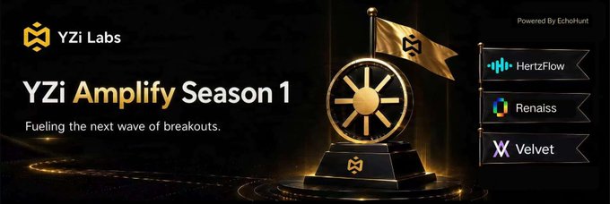 A promotional banner for 'YZi Amplify Season 1 - Fueling the next wave of breakouts' featuring a gold trophy with a flag, powered by EchoHunt, listing partners HertzFlow, Renaissance, and Velvet.