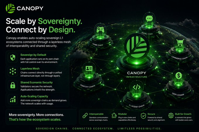A promotional graphic for Canopy, a blockchain infrastructure platform, with the tagline 'Scale by Sovereignty. Connect by Design.' showing interconnected chains including Game Chain, Social Chain, Commerce Chain, Identity Chain, AI Agent Chain, and DeFi Chain.
