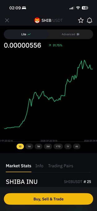 A cryptocurrency trading app showing SHIB/USDT pair with a price of 0.00000556, showing a 31.75% increase on a green line chart.