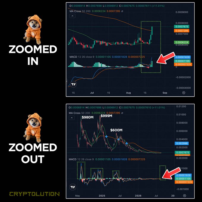 A meme comparing zoomed-in vs zoomed-out cryptocurrency charts, showing MACD indicators with arrows pointing to recent signals, watermarked 'CRYPTOLUTION' alongside a Shiba Inu dog in a hoodie.