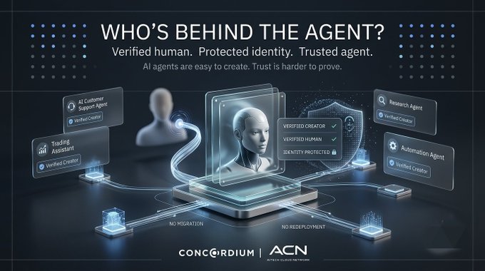 A CONCORDIUM and ACN promotional graphic titled 'WHO'S BEHIND THE AGENT?' featuring a verified human AI agent illustration with 'NO MIGRATION' and 'NO REDEPLOYMENT' tags, surrounded by AI Customer Support Agent, Trading Assistant, Research Agent, and Automation Agent icons.