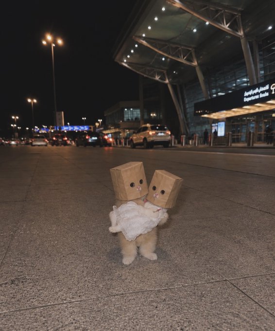 Two small fluffy dogs wearing cardboard box costumes with drawn-on faces stand together at night outside what appears to be an airport terminal.