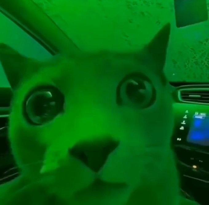 A close-up photo of a cat's face with large eyes bathed in green-tinted lighting, appearing to be inside a car with a dashboard visible in the background.