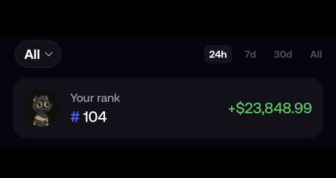 A ranking interface showing 'Your rank #104' with a positive earnings display of +$23,848.99 over a 24-hour period, featuring a black cat avatar with gold chain.