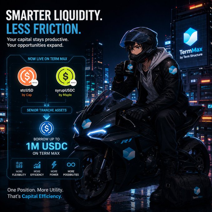 A promotional graphic for TermMax by Term Structure featuring an anime-style motorcyclist, advertising 'SMARTER LIQUITY. LESS FRICTION.' with options to borrow up to 1M USDC using senior tranche assets like stcUSD by Cap and syrupUSDC by Maple.