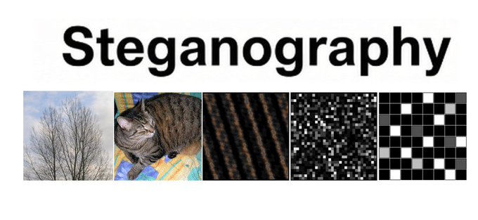 A slide or graphic titled 'Steganography' with a row of five images below it, including a tree, a cat, diagonal stripes, scattered pixels, and a checkerboard pattern.