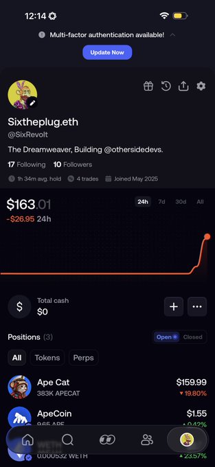 A mobile app screen shows a user profile named 'Sixtheplug.eth' (@SixRevolt) with a portfolio value of $163.01, listing positions in 'Ape Cat' and 'ApeCoin'.