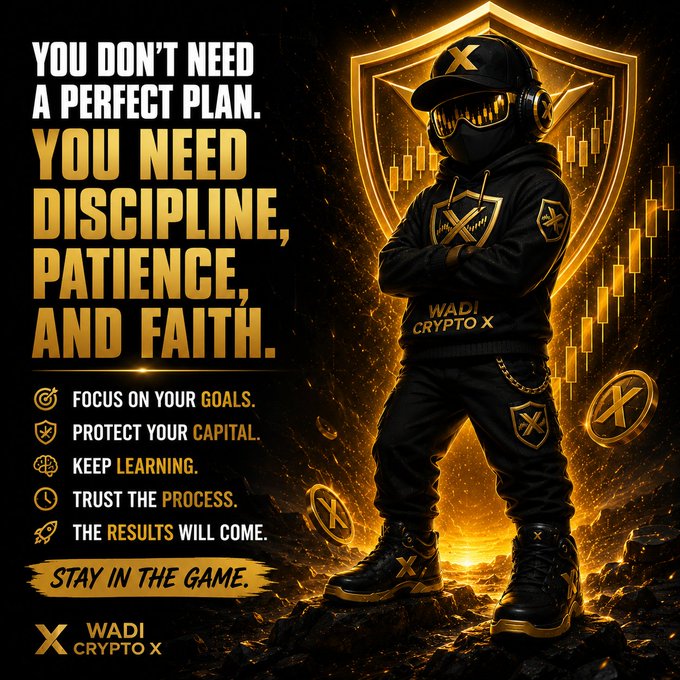 A motivational crypto poster featuring 'WADI CRYPTO X' with the message 'YOU DON'T NEED A PERFECT PLAN. YOU NEED DISCIPLINE, PATIENCE, AND FAITH' alongside a hooded character wearing gold-themed gear.