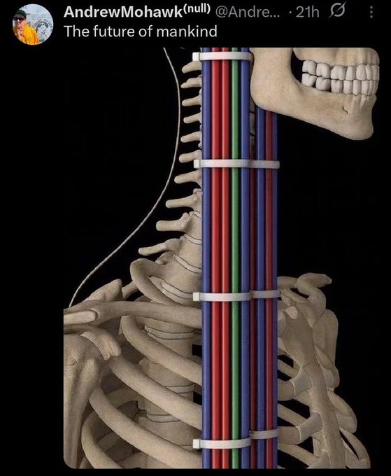 A tweet by AndrewMohawk (@Andre...) titled 'The future of mankind' shows a skeleton whose spine has been replaced by colorful bundled cables in a sci-fi style edit.