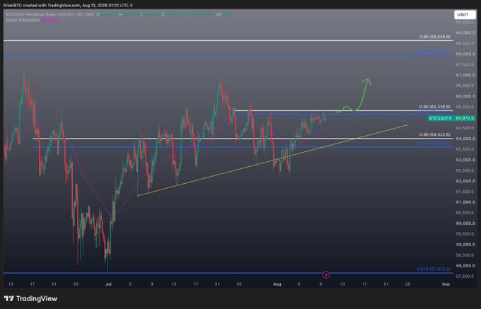 A TradingView chart for BTCUSDT Perpetual Swap showing a 4-hour candle pattern with Fibonacci retracement levels drawn between 64,023 and 66,338, highlighting a price point of 64,972.8 and an upward green arrow.
