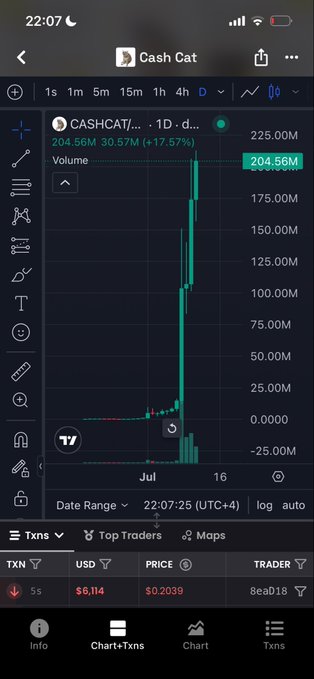 A TradingView chart of $CASHCAT (CashCat) on the 1-day timeframe shows a massive surge with trading volume spiking to 204.56M, accompanied by a +17.57% gain and a current price highlighted at the chart's peak near 204.56M, visually confirming the post's claim that the token is smashing through new highs amid heavy trading activity.