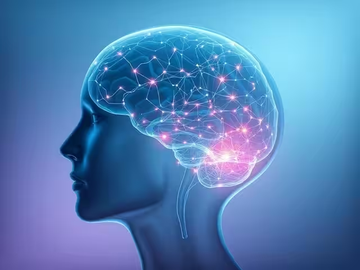 A 3D illustration of a glowing, translucent blue human head with a neural network brain illuminated in pink and blue nodes.