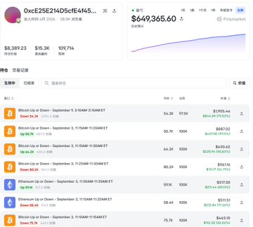 A cryptocurrency portfolio dashboard shows the address “0xcE25E214D5cf1E4A45...” and a balance of $649,365.60, with Bitcoin transaction and price details listed below.