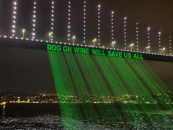 A nighttime view of the Bosphorus Bridge is illuminated with the green message "DOG ON WIRE WILL SAVE US ALL," with sweeping green light beams streaming down toward the water below, cleverly connecting the iconic meme to the post's wordplay on "DOW."