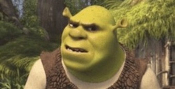 Shrek makes a skeptical, grimacing face, as if reacting to something he finds absurd or disappointing—mirroring the post's joke about being bewildered by someone who doesn't own cryptocurrency.