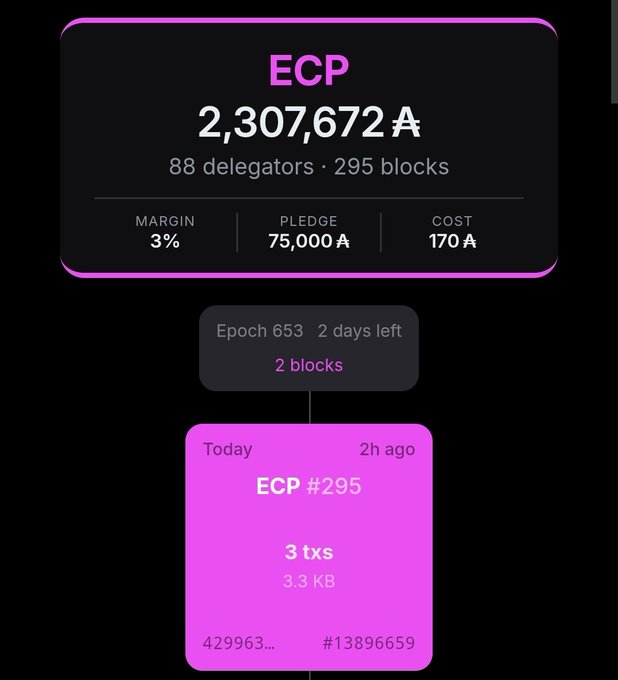 A blockchain dashboard displays ECP with 2,307,672 A, 88 delegators, 295 blocks, a 3% margin, 75,000 A pledge, and 170 A cost, showing Epoch 653 with 2 days left and the latest block ECP #295 containing 3 transactions.