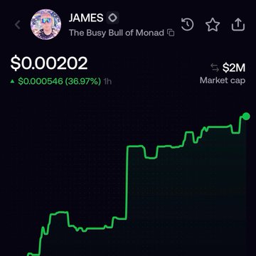 A cryptocurrency price chart showing 'JAMES' token (The Busy Bull of Monad) at $0.00202 with a 36.97% increase and $2M market cap.