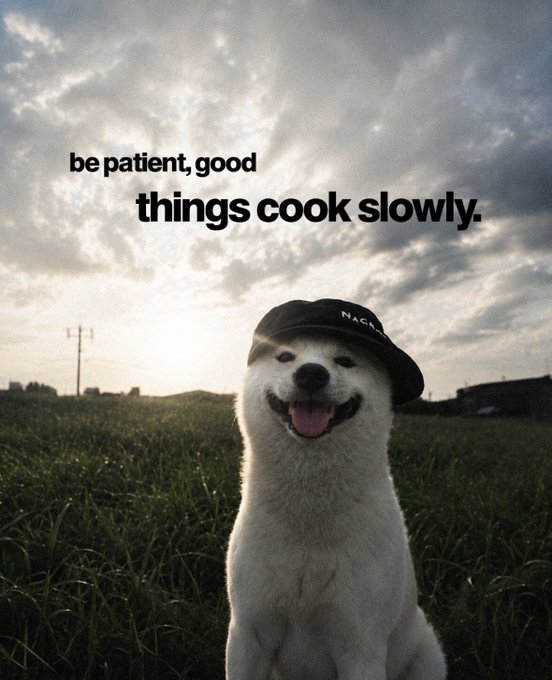 The image features a white dog wearing a black hat, sitting in a field with grassy surroundings. The background of the photo shows a cloudy sky, which complements the overall theme of the image. The caption below the picture reads "Be patient, good things cook slowly", and it also mentions that there is an update on @base today.
