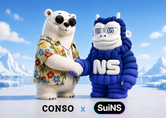 A 3D rendered promotional image showing a bear in sunglasses and Hawaiian shirt shaking hands with a blue SuiNS character, with 'CONSO x SuiNS' text at the bottom.