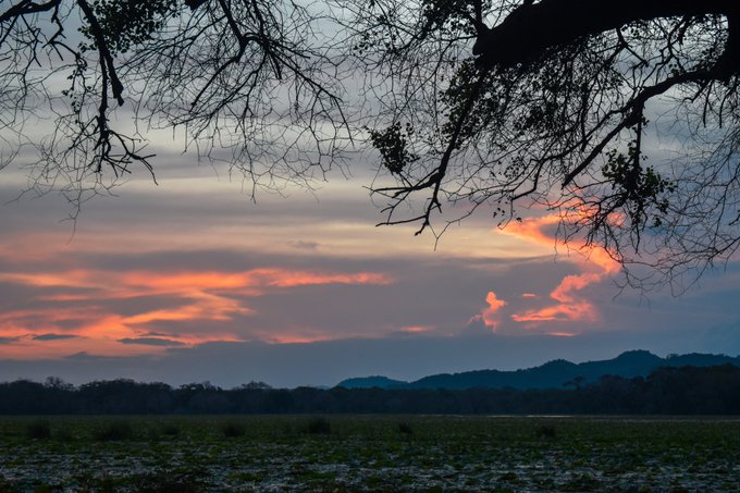 A landscape photograph captures a vivid sunset with pink and orange clouds over distant silhouetted mountains, framed by bare tree branches in the foreground and a frost-dusted field below.