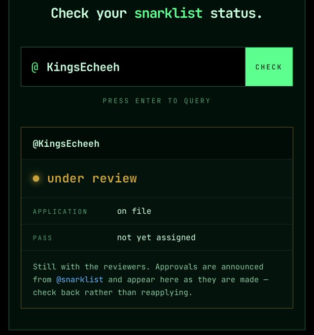 A user checks their application status on @snarklist, revealing "@KingsEcheeh" is "under review" with their application on file but a pass not yet assigned, prompting them to wait for reviewer announcements instead of reapplying.