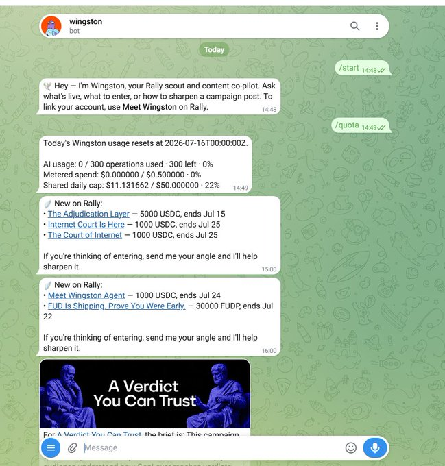 A Telegram chat with 'wingston bot' showing messages about Rally content campaigns, including 'The Adjudication Layer' (5000 USDC), 'Internet Court Is Here' (1000 USDC), 'Meet Wingston Agent' (1000 USDC), and 'FUD Is Shipping' (30000 FUDP), with usage stats showing 0/300 operations used.