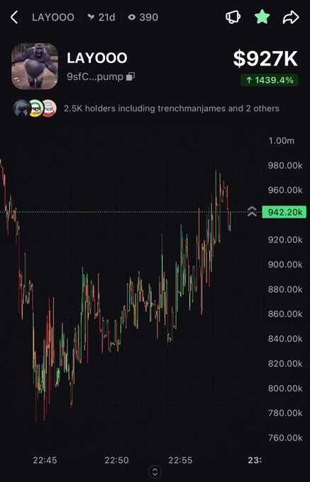 A mobile trading interface showing the LAYOO token (9sfC...pump) trading at $927K with a 1439.4% gain, featuring a 21d chart with price hovering around $942.20K and 2.5K holders including trenchmanjames.