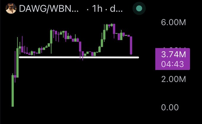 A financial chart displays the ticker 'DAWG/WBN...' on a 1-hour timeframe, showing a price of 3.74M at 04:43, with a white horizontal line marking a key support level across the purple and green candlesticks.