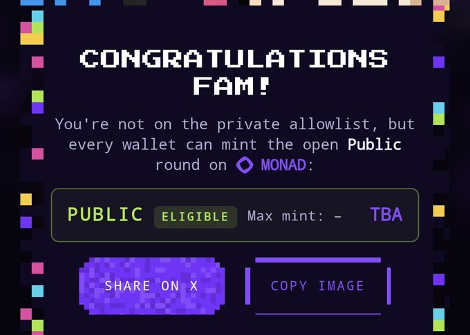Pixel art 'CONGRATULATIONS FAM!' graphic stating 'You're not on the private allowlist, but every wallet can mint the open Public round on MONAD', showing 'PUBLIC ELIGIBLE' and options to 'SHARE ON X' or 'COPY IMAGE'.