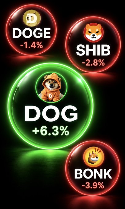 Cryptocurrency ticker display showing DOGE -1.4% and SHIB -2.8% in red, DOG +6.3% in green, and BONK -3.9% in red.
